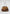 ALC Furry Brown Bag