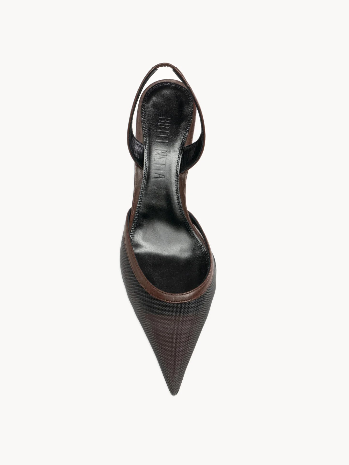 BN Sheer Pointy Toe Heel