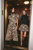 CC Drop Waist Tiger Dress
