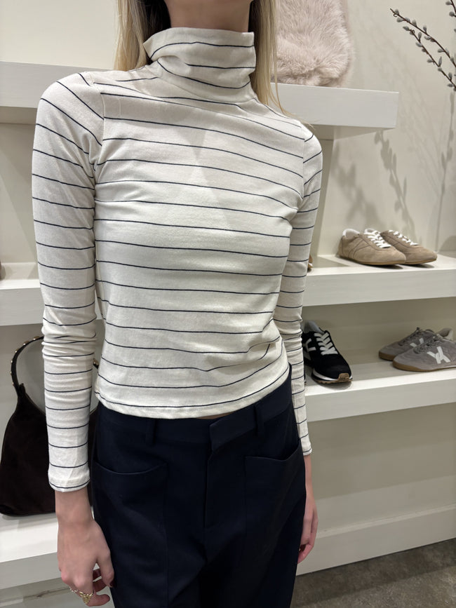 PWT Thin Striped Turtleneck