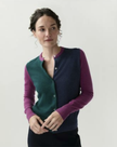 AM Colorblock Cardigan