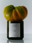 Flamingo Estate Candle