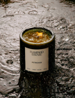 Flamingo Estate Candle