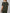 SPL Ribbed Dark Green Set