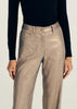 DL Metallic Trouser